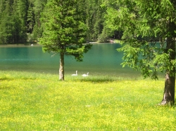 antholzersee